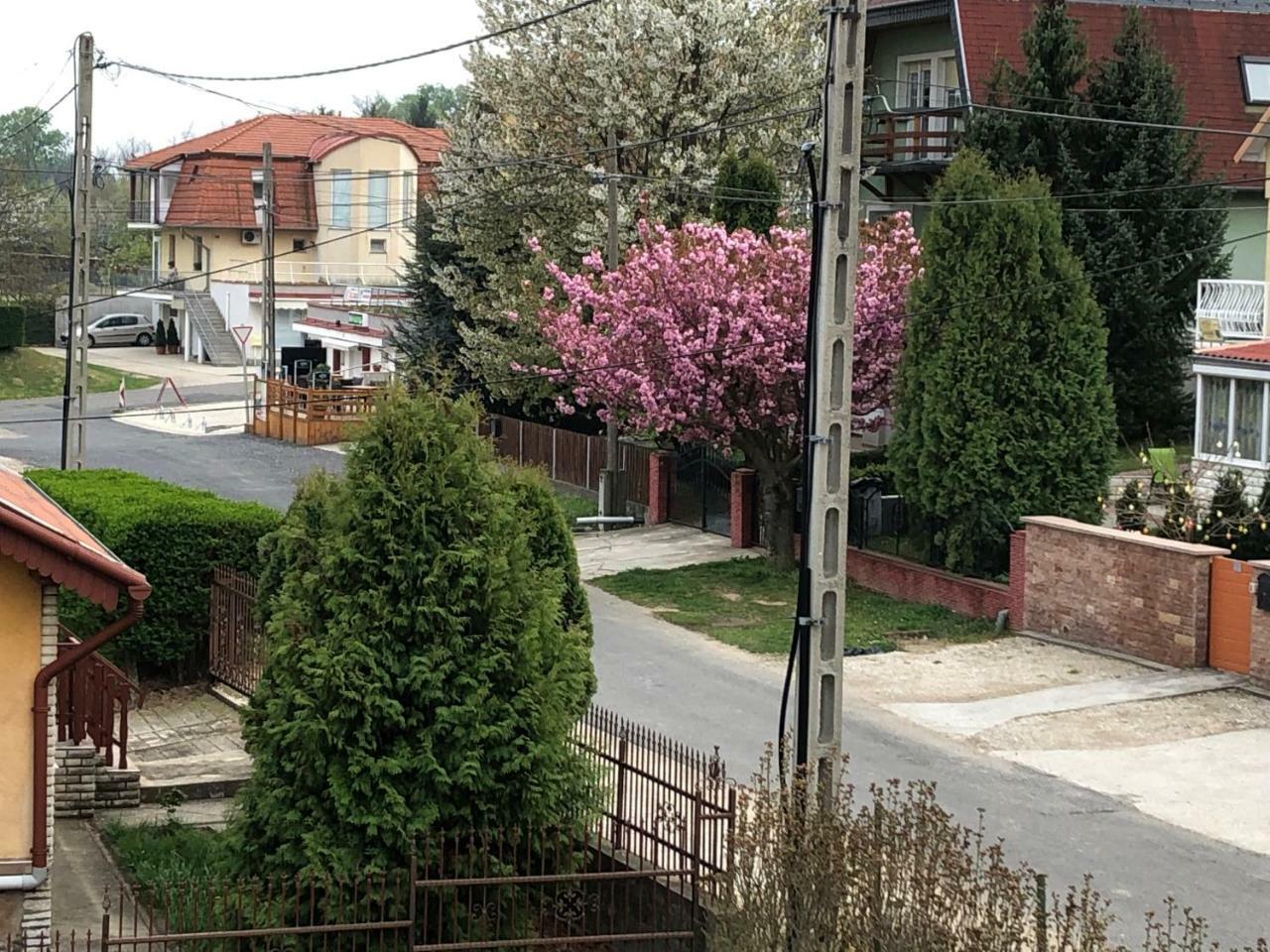 Jozsef Apartments House Zalakaros Extérieur photo